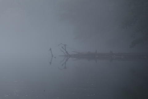 Stick in the fog. 