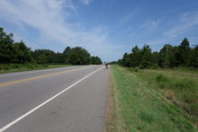 Road with trees on the side. 