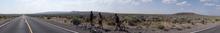 Panorama in the middle of nowhere. Sagebrush and grass.