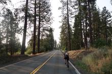 Helen riding through pines